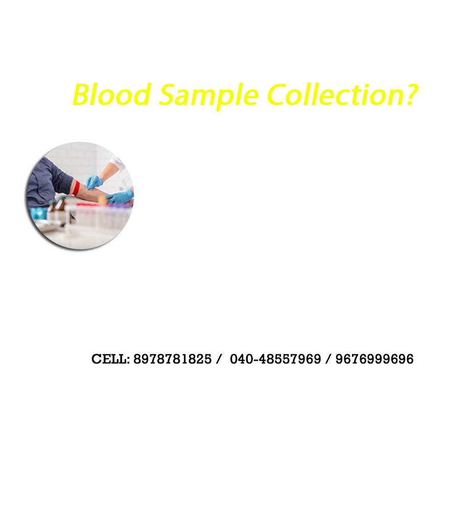 Physiotherapy, Blood Sample Collection, Home Care Support